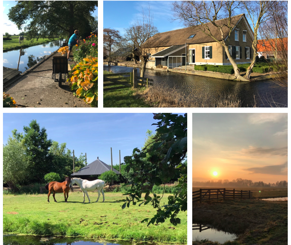 Hoeve de Kokosmakroon